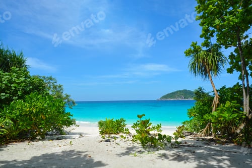 Preview: Similan Island is a very beautiful island with crystal clear water and powder white sand. Thailand
