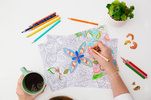Preview: Adult coloring anti stress page or coloring book