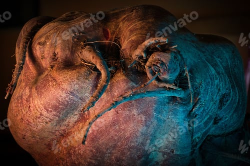 Preview: Closeup of a beet in the dramatic lights