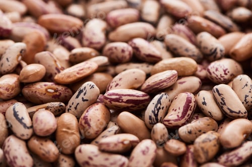 Preview: close up view of raw organic pinto beans