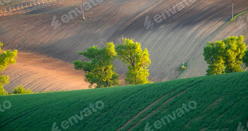 Preview: Gorgeous rural landscape with green sunny spring hills. South Moravia region, Czech Republic