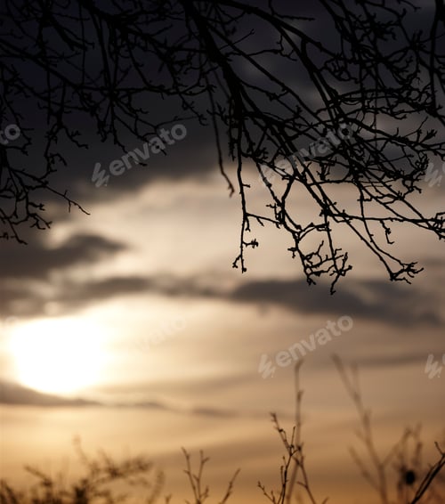 Preview: The beauty of autumn. Forest and landscape in the colors of autumn.