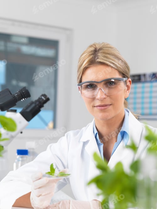 Preview: Scientist viewing development of experimental plants in research laboratory