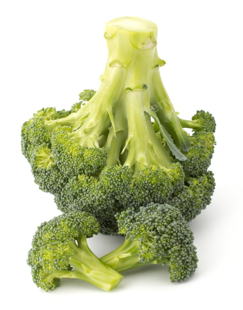 Preview: Broccoli vegetable isolated on white background