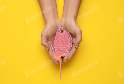 Preview: Woman holding paper cutout of small intestine on yellow background, top view