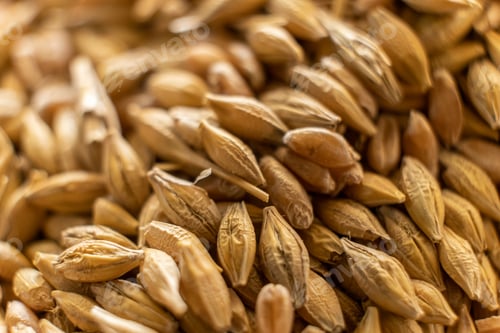 Preview: A mix of grains of different types Background close-up