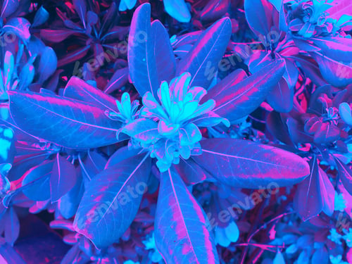 Preview: Pop Art Flora Blue