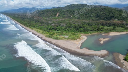 Preview: Aerial view of an idyllic Caribbean beach with a lush, green forest bordering a bright blue ocean