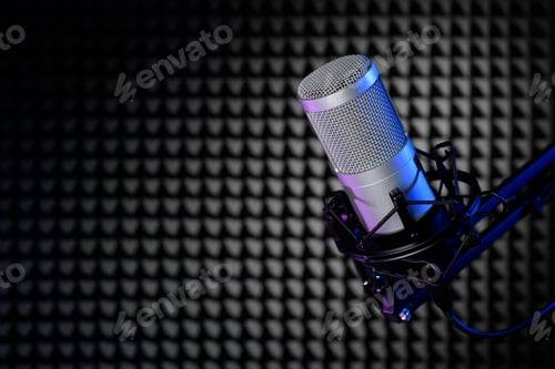 Preview: Professional condenser microphone in an acoustically treated studio.