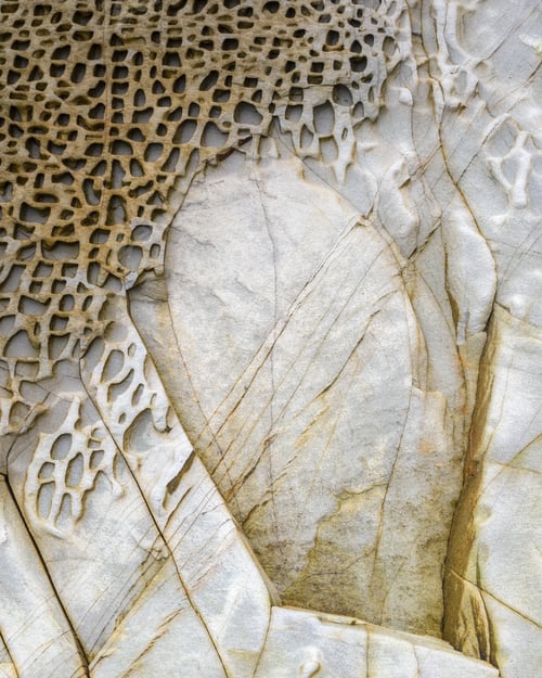 Preview: Example of alveolar wind erosion on a white rock sandstone