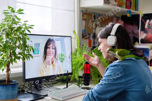 Preview: Online meeting of teenagers friends, guy with pet parrot at home talking to a female