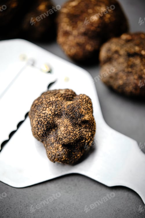 Preview: Black Truffle in Rolling Mill