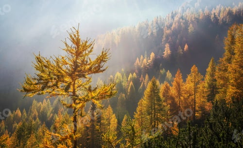 Preview: Autumn landscape scenery in the Julian Alps mountains