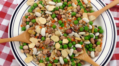 Preview: Healthy Vegetarian Raw Food Legumes
