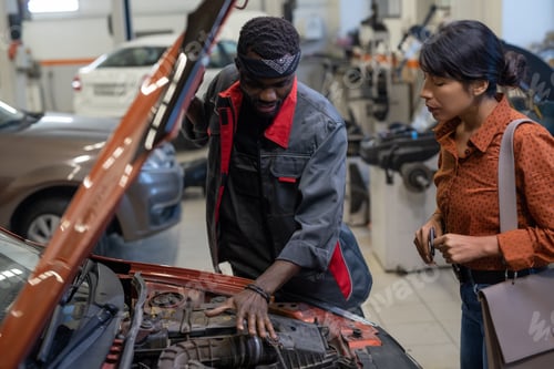Preview: Young African repairman consulting Hispanic female client