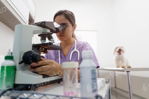 Preview: Clinic Staff With Woman Working As Veterinary In Pet Shop