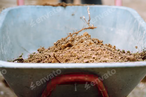 Preview: Organic soil for seedlings, seasonal work and fertilization left in garden wheelbarrow
