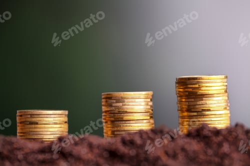 Preview: Money growth. Euro coins growing from soil. Money growth concept.