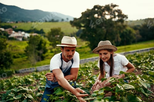 Preview: Full length shot of a handsome man and his young daughter working the fields on their farm