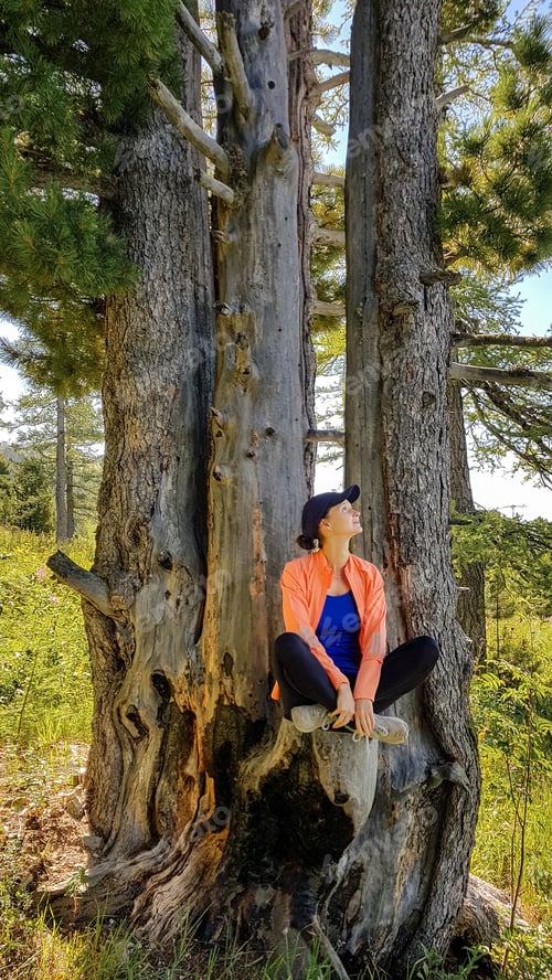 Preview: nature