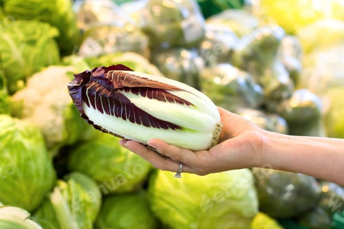 Preview: Women Hand Choosing Chicory At Supermarket