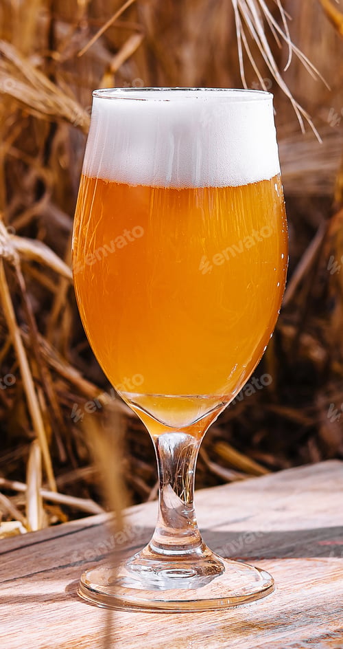 Preview: light, unfiltered glass of beer in a wheat field