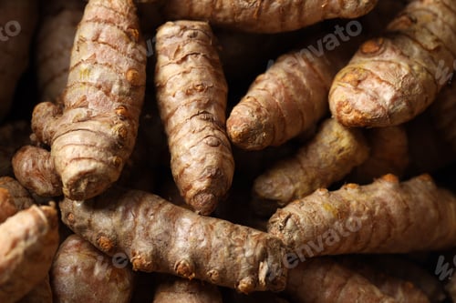 Preview: Many fresh turmeric roots as background, above view