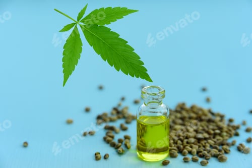 Preview: Hemp oil, seeds and leaf