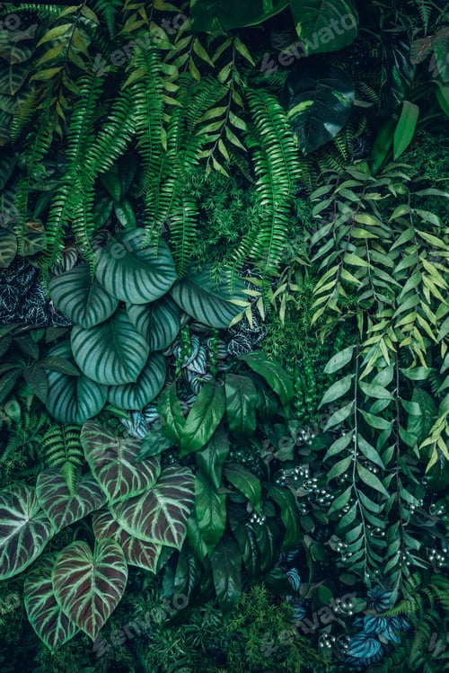Preview: Close up group of background tropical green leaves texture and abstract background.