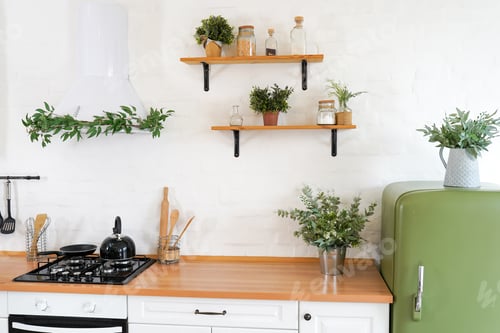 Preview: Green and white kitchen interior with plants and herbs, real photo