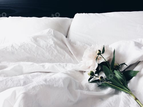 Preview: Flowers in bed.
