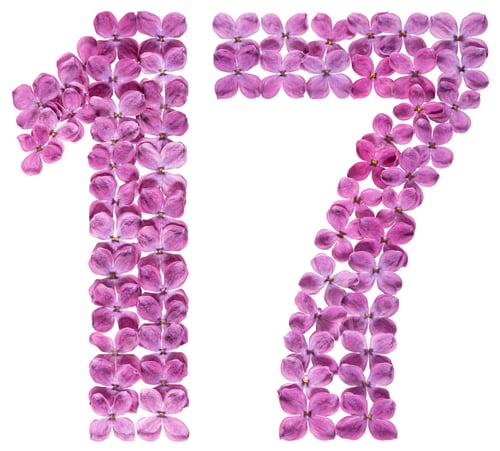 Preview: Arabic numeral 17, seventeen, from flowers of lilac, isolated on white background