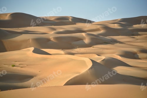 Preview: Desert SandScape Landscape