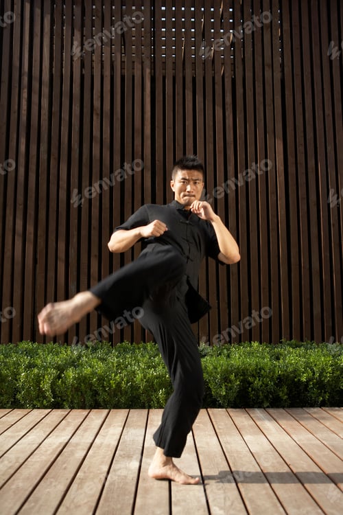 Preview: Man Practicing Martial Arts