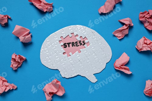 Preview: Stress theme concept, brain in puzzle shape with crumpled paper.