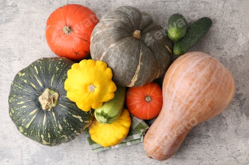 Preview: Many fresh pumpkins and other vegetables of gourd family on light grey textured table, flat lay