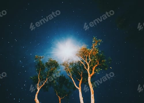 Preview: Night sky