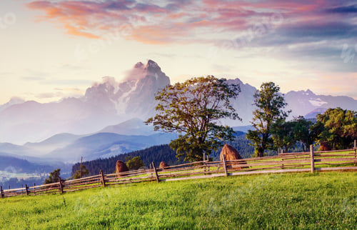 Preview: Alps mountain meadow tranquil summer view. Europe