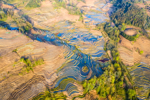 Vorschau: wunderschöne terrassenförmige Feldlandschaft in der Abenddämmerung, hoher Blickwinkel