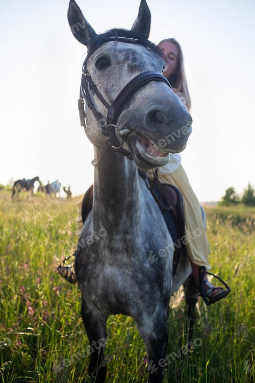 Preview: Young caucasian beautiful woman spending time with her horse walking at field.