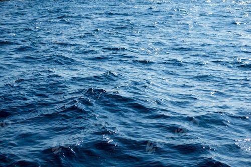Meer