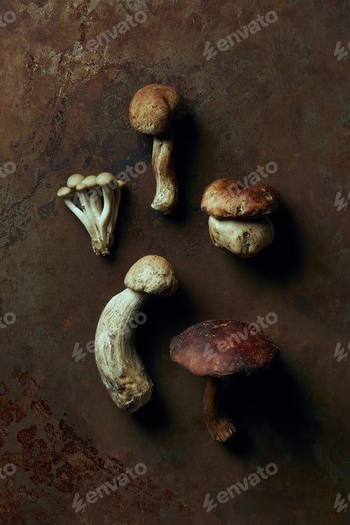 Preview: top view of assorted raw edible mushrooms on dark grunge surface