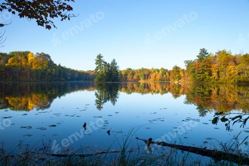 Preview: Calm lake wide view with an island and trees in fall color at dawn
