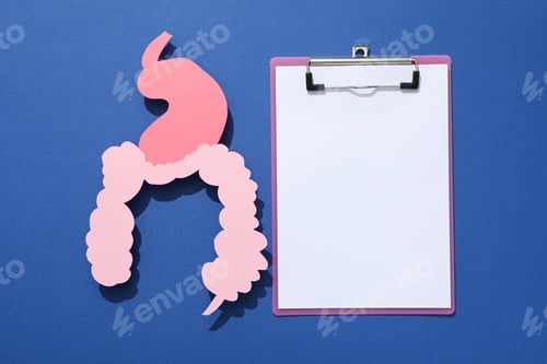 Preview: Concept of health care, stomach and intestinal problems