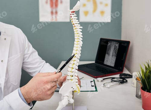 Preview: Doctor shows problem points on a spine using a spine anatomical model at a doctor's office