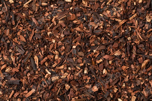 Preview: Dried Honeybush tea leaves from South Africa close up full frame