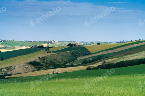 Preview: Rural landscape near Ostra Vetere and Cingoli, Marche, Italy
