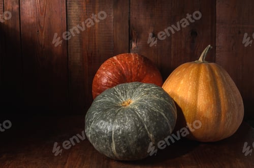 Preview: pumpkins