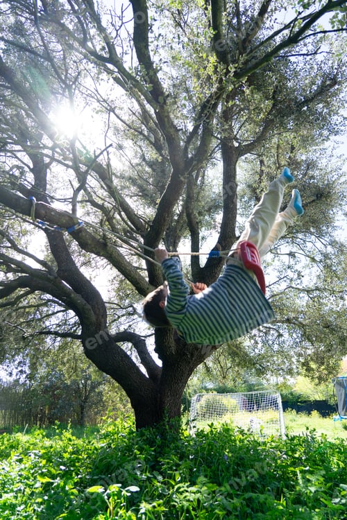 Preview: Child swinging on a swing hanging from a tree