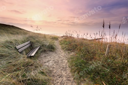 Preview: wooden bench by path to North sea coast